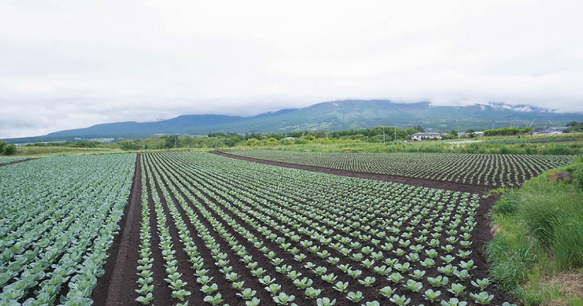 望んでいたことのすべてが御代田にはありました