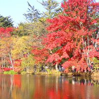 クラスベッソ西軽井沢からいける紅葉スポット