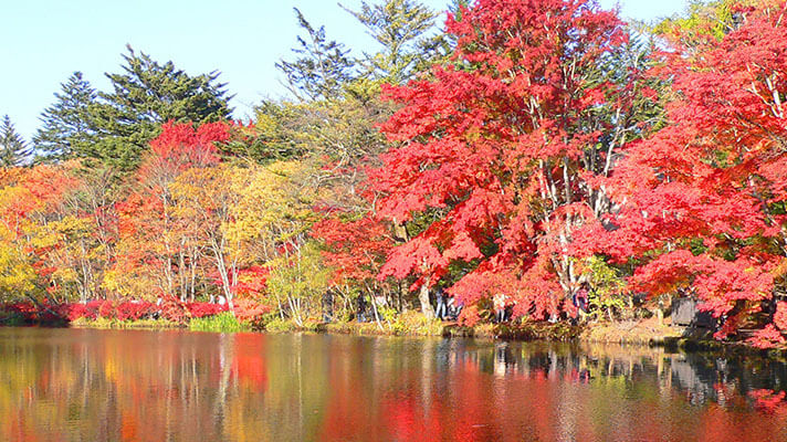 クラスベッソ西軽井沢からいける紅葉スポット