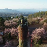 空から見る御代田の桜は、子育て環境もわかる素敵な動画でした（動画紹介）
