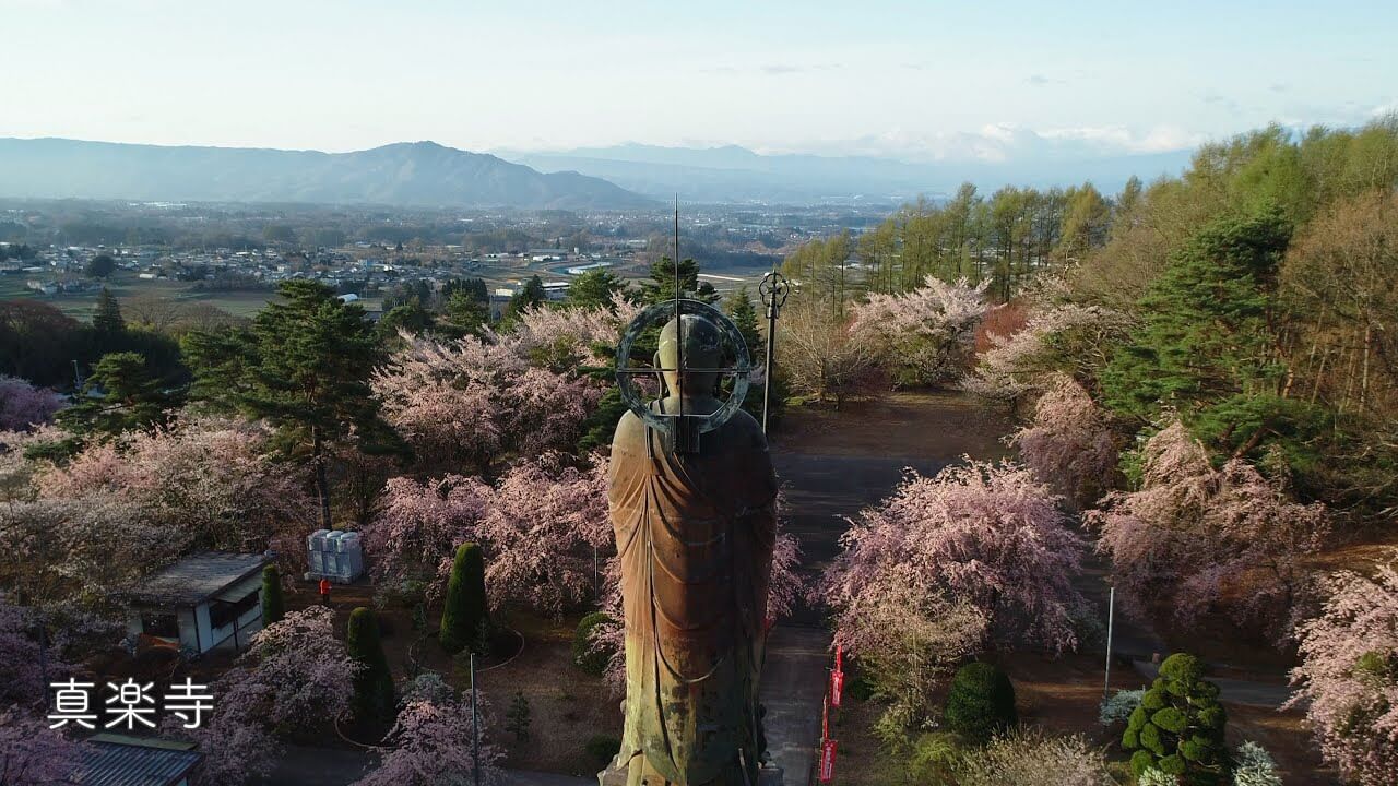 空から見る御代田の桜は、子育て環境もわかる素敵な動画でした（動画紹介）