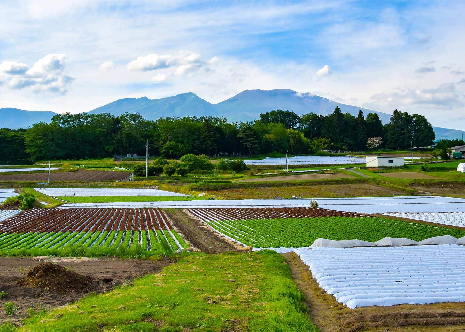 長野県人口増”NO.1”の御代田町。３つのポイントから紐解く「移住のちょうど良さ」